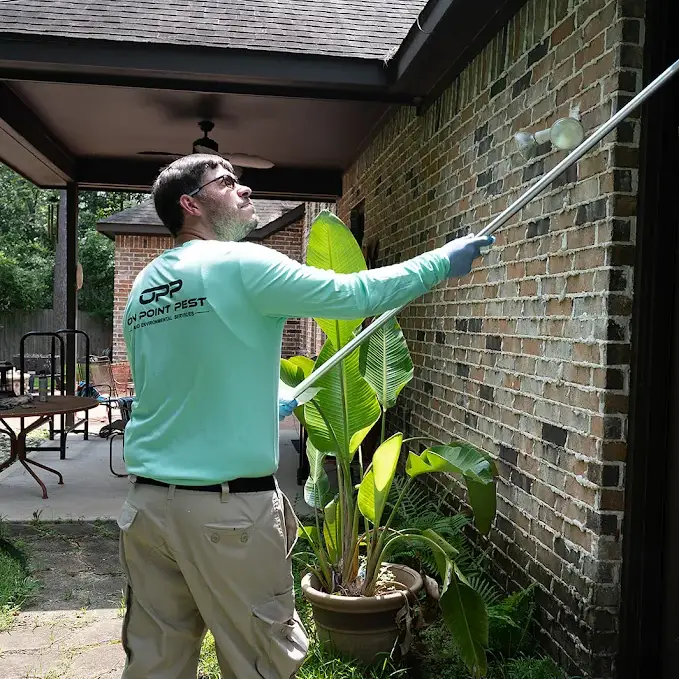 Local Houston cheap pest control
