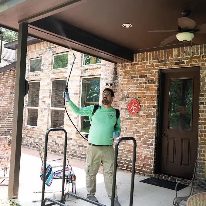 On Pest Treating Pest in backyard spring