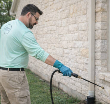 Pest Control