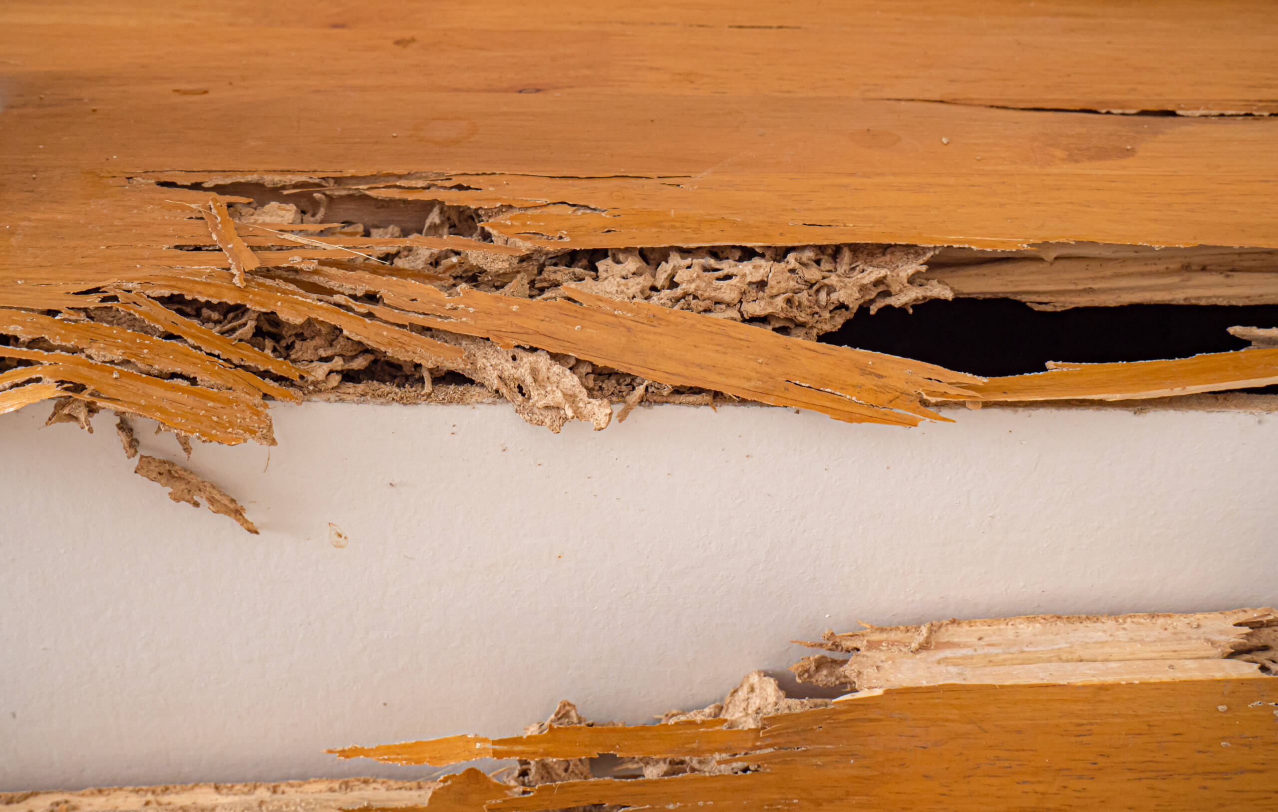 House stairs that were bitten by termites. The wood was broken