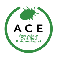 ACE Certified Badge